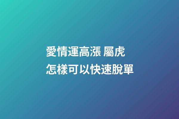 愛情運高漲 屬虎怎樣可以快速脫單